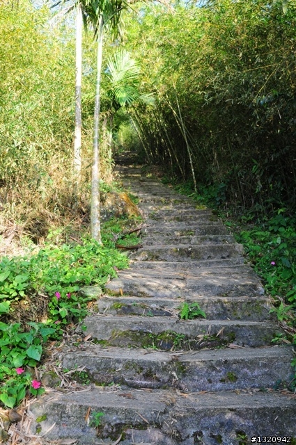 陪我減肥的D-90  雲林古坑  登山步道一遊[圖多]