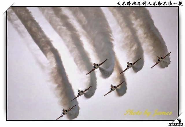 新竹打鳥趣(圖多礙眼請見諒)