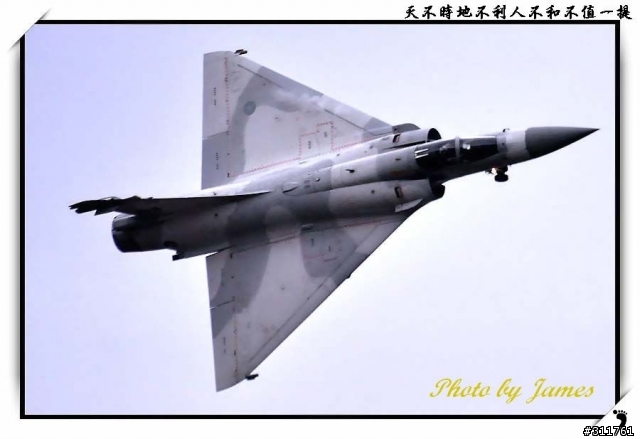 新竹打鳥趣(圖多礙眼請見諒)