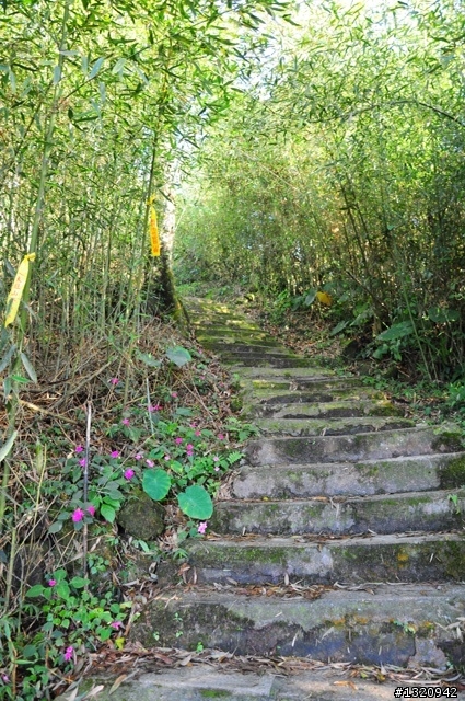 陪我減肥的D-90  雲林古坑  登山步道一遊[圖多]