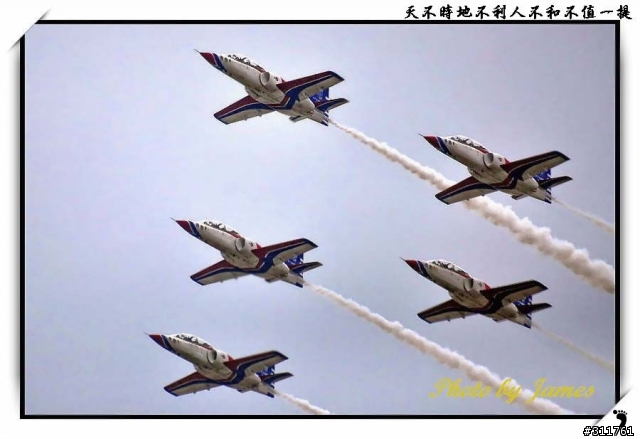 新竹打鳥趣(圖多礙眼請見諒)