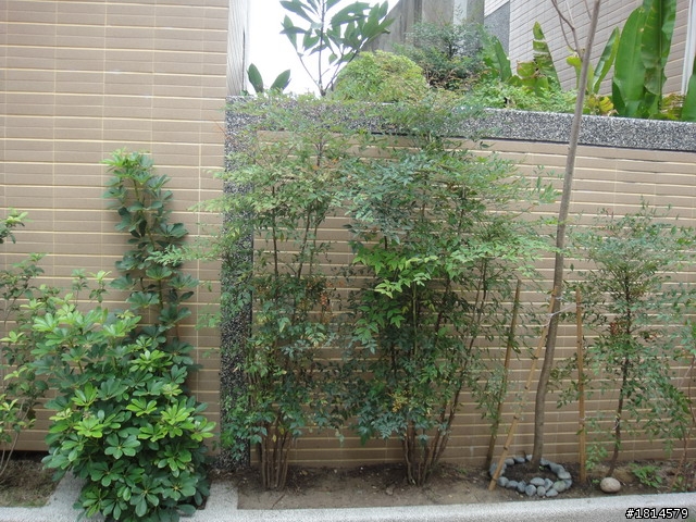 小小庭院‧大變身