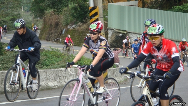 p字道剛剛出爐的照片