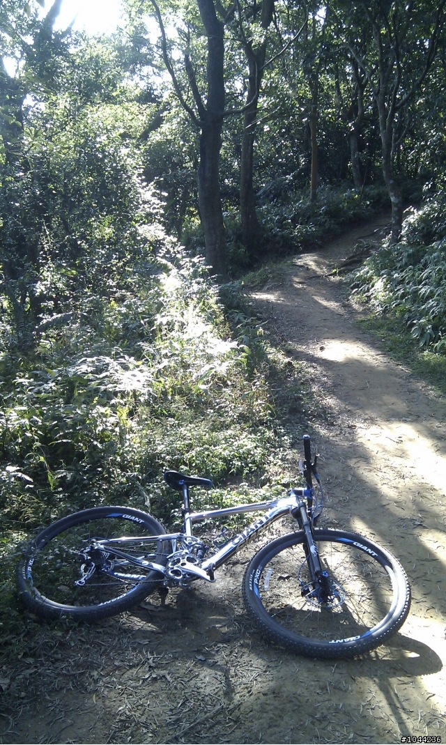 [心得] 中埔山測試 Anthem X 29er 和 XTC 29er