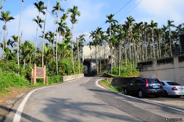 陪我減肥的D-90  雲林古坑  登山步道一遊[圖多]
