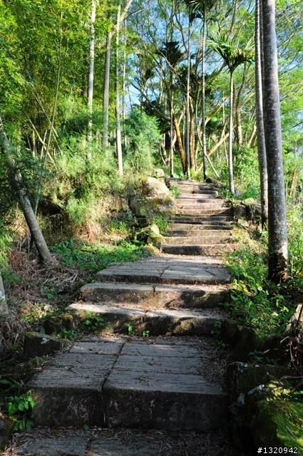 陪我減肥的D-90  雲林古坑  登山步道一遊[圖多]