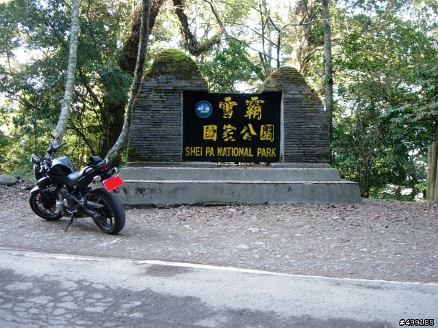 991229雪霸國家公園(觀霧)探路行