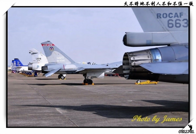 新竹打鳥趣(圖多礙眼請見諒)