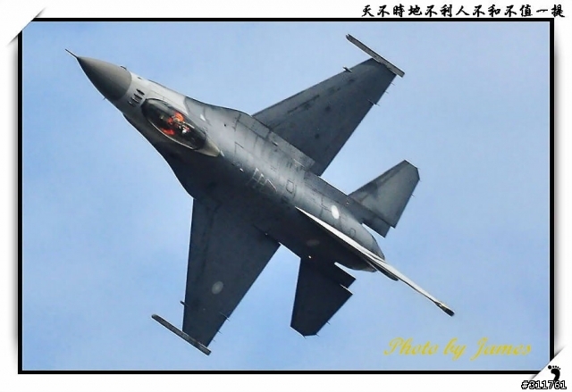 新竹打鳥趣(圖多礙眼請見諒)