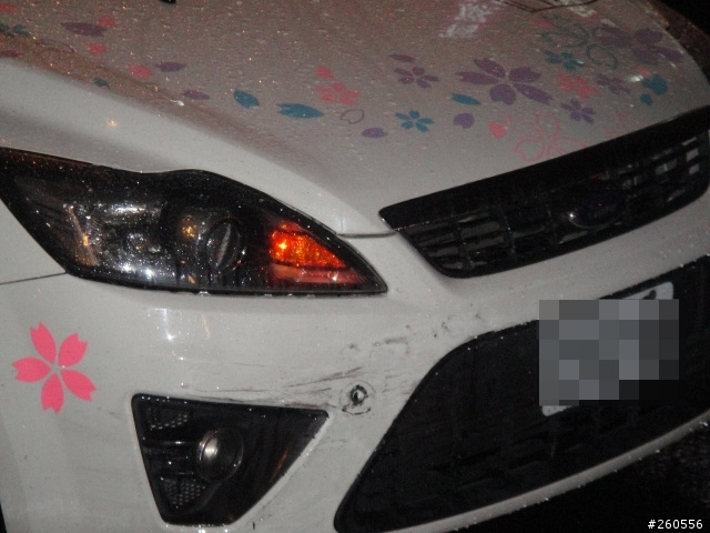 我家小柴出車禍了...撞的真慘...
