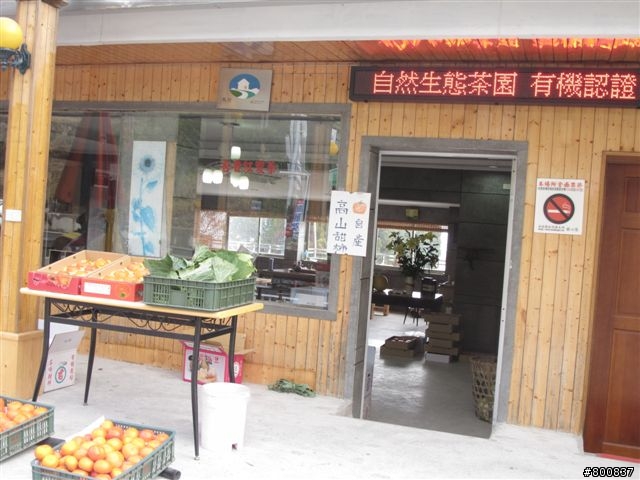 (第2天更新完成).......身體力行紅香泡溫泉&武嶺看殘雪&谷關泡溫泉