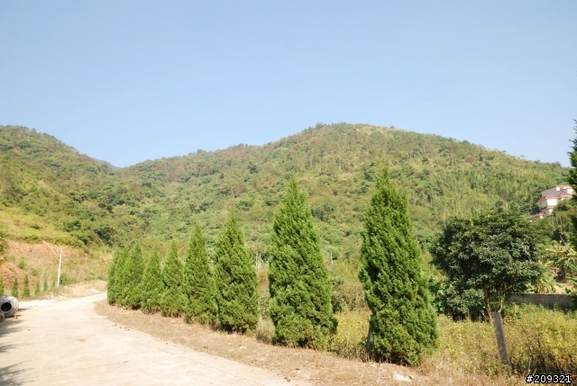 大陸遊-廣東惠州市惠東縣 鄉村遊記 (未完編輯中)