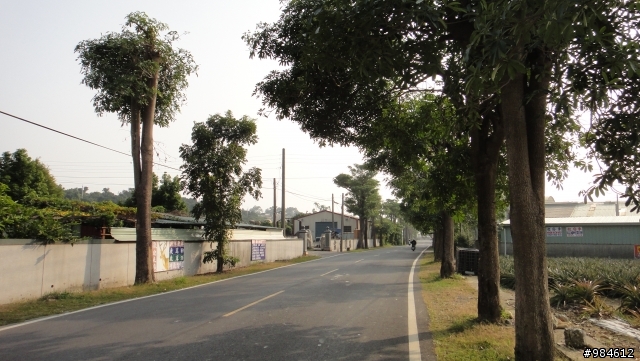 高雄大樹行記，及加碼的大寮花季