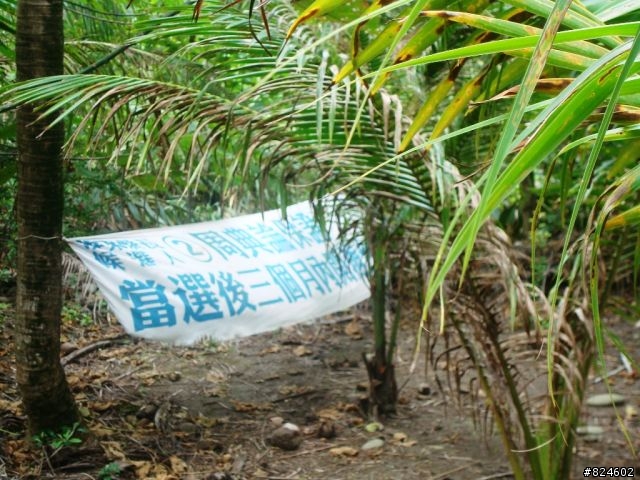 台26線阿塱壹古道 - 公路車越嶺全記錄