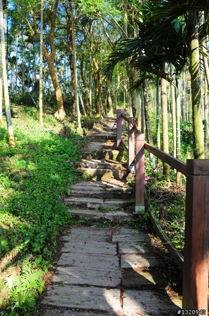 陪我減肥的D-90  雲林古坑  登山步道一遊[圖多]