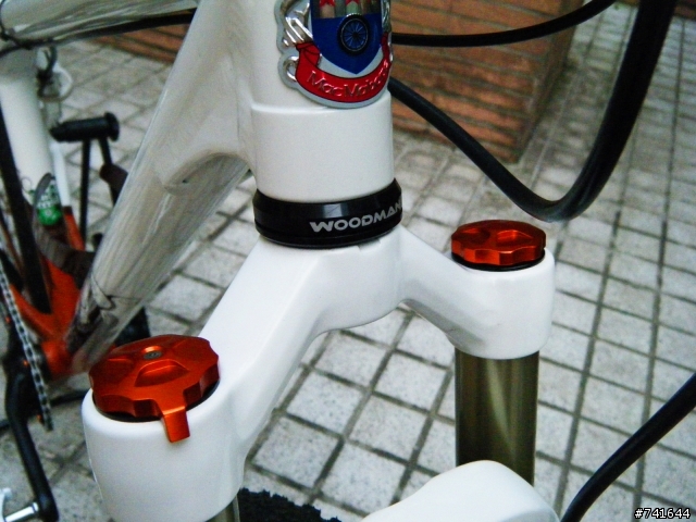 不乾淨車店頻道--Mac Mahone Sword SS  單速登山車改9速