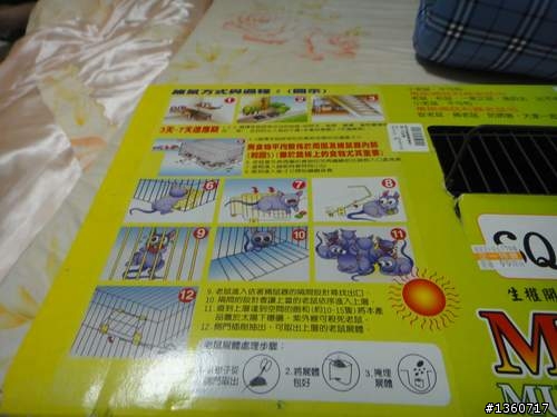 捕鼠籠開箱
