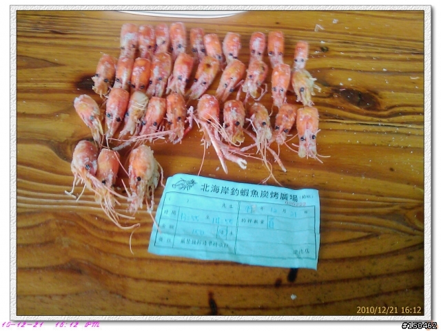 釣況分享(蝦)