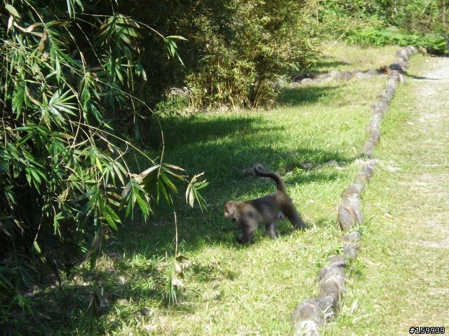 〔分享〕宜蘭福山植物園