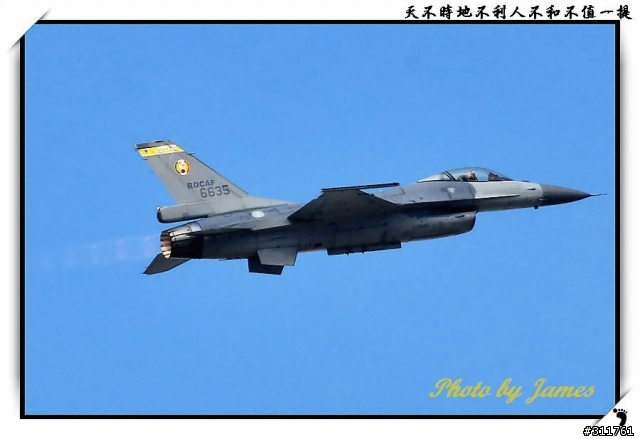 新竹打鳥趣(圖多礙眼請見諒)