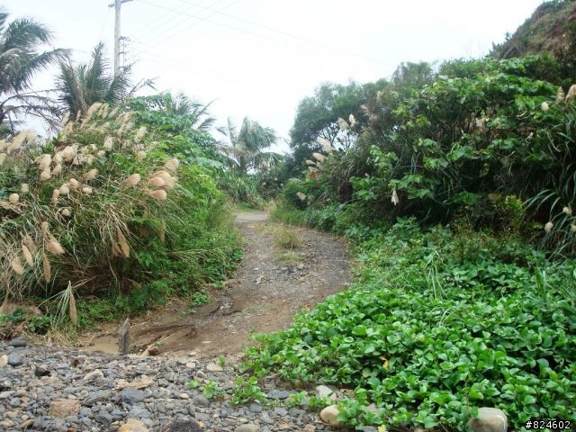 台26線阿塱壹古道 - 公路車越嶺全記錄