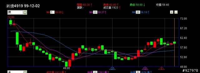IC設計-新唐4919可續抱嗎?