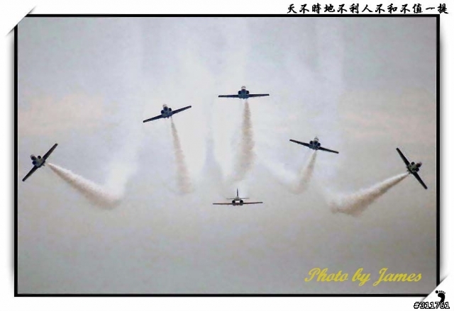 新竹打鳥趣(圖多礙眼請見諒)