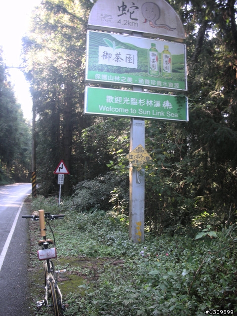 告別2010最後一場，絕色151竹溪杉自行車挑戰賽