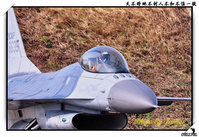 新竹打鳥趣(圖多礙眼請見諒)
