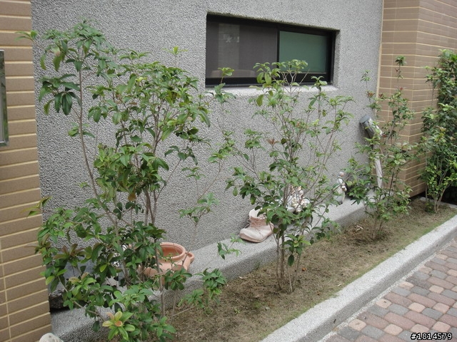 小小庭院‧大變身