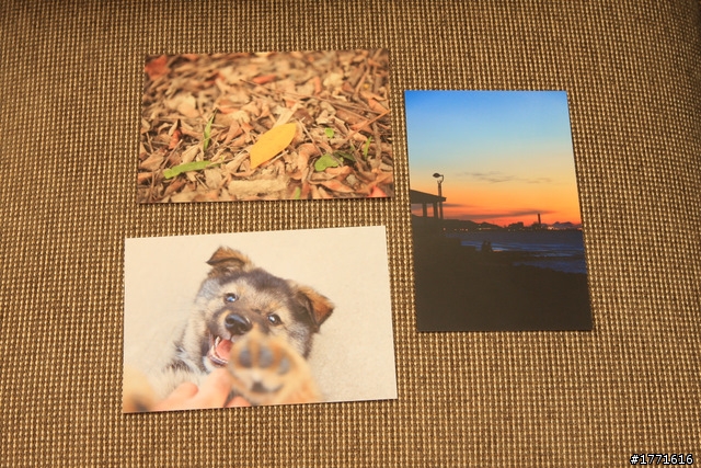 [開箱]2010資訊展購入CANON MG6170