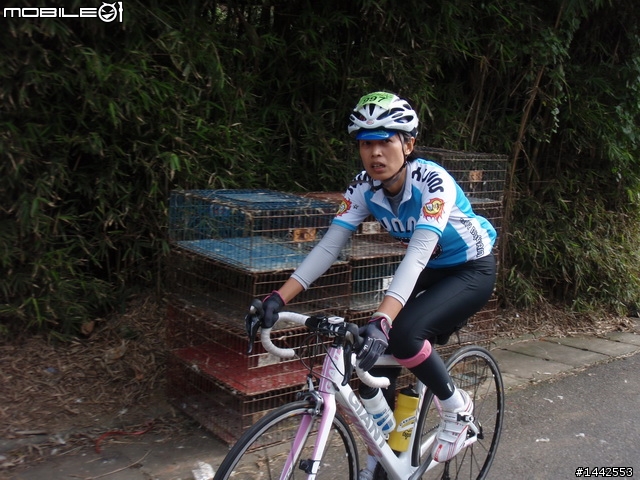 12-05 陽金p字 照片，春風車隊邊騎邊拍