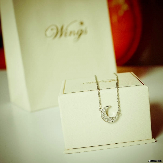[開箱文] Wings  月光下的精靈  925純銀項鍊 【首次開箱圖多 請多指教^^】