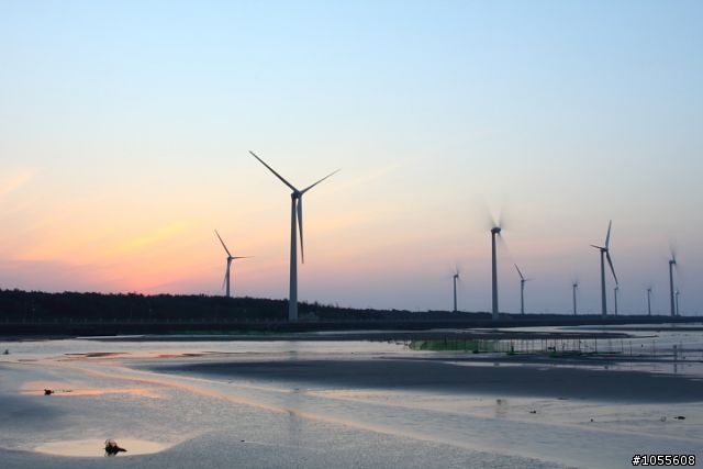 今天高美溼地好美