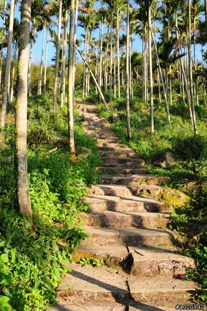 陪我減肥的D-90  雲林古坑  登山步道一遊[圖多]