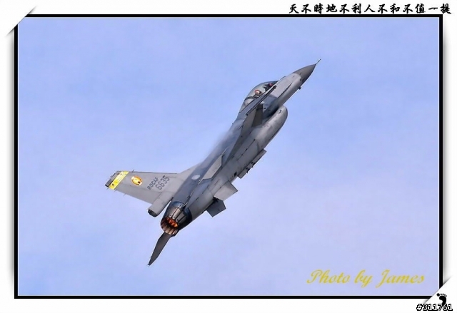 新竹打鳥趣(圖多礙眼請見諒)