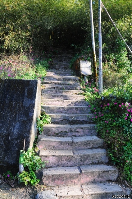 陪我減肥的D-90  雲林古坑  登山步道一遊[圖多]