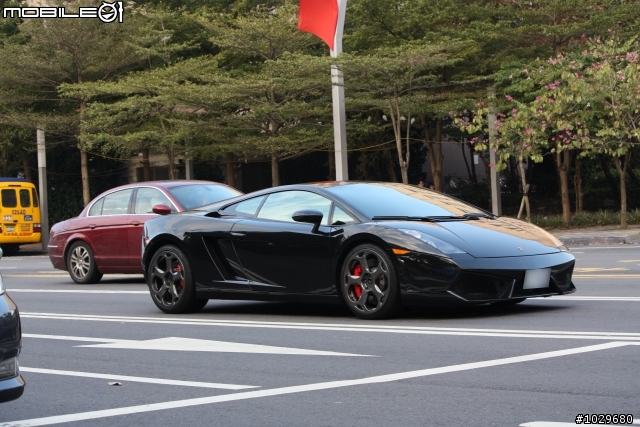 黑小牛