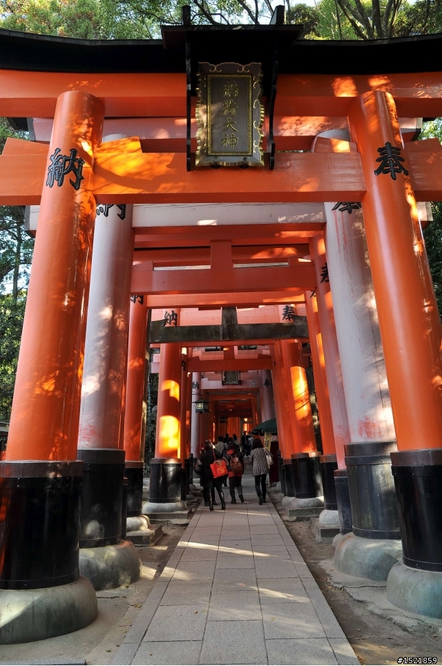 （分享） 京都＋大阪＋神戶＋奈良之賞楓旅 ~{圖多}~ D90 + 17-55mm F2.8
