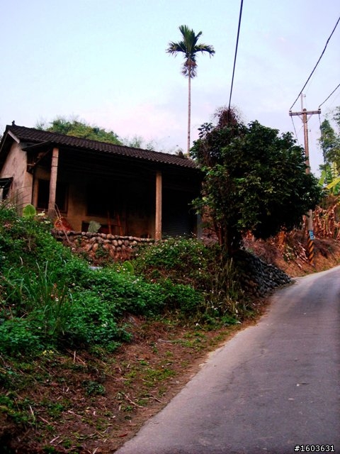 會GOOGLE也找不到的新景點--東勢小中嵙步道