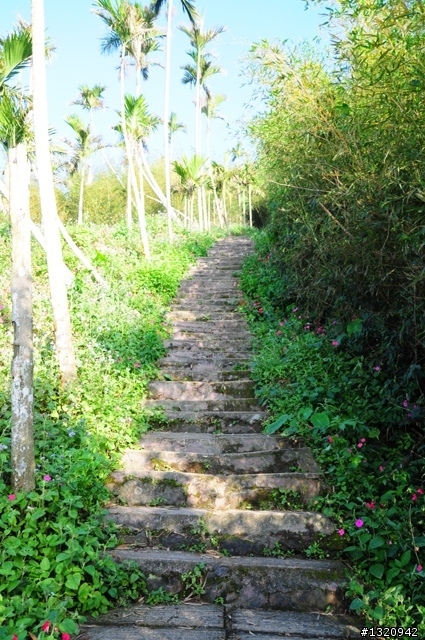 陪我減肥的D-90  雲林古坑  登山步道一遊[圖多]
