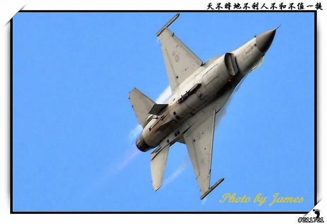 新竹打鳥趣(圖多礙眼請見諒)