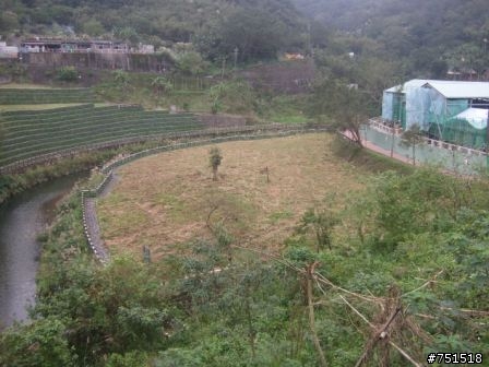平溪行(尋找兒時記憶)