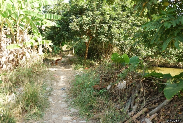 大陸遊-廣東惠州市惠東縣 鄉村遊記 (未完編輯中)
