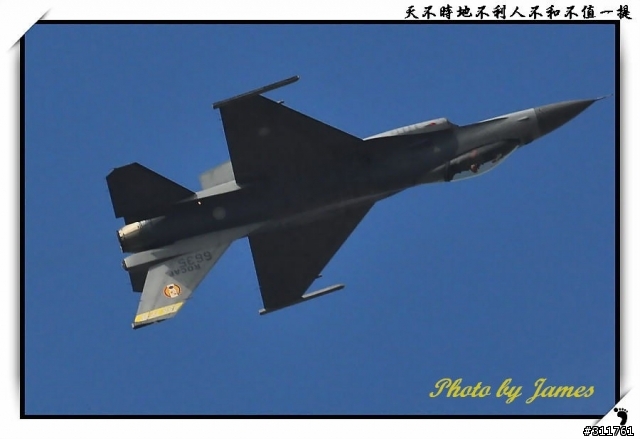 新竹打鳥趣(圖多礙眼請見諒)