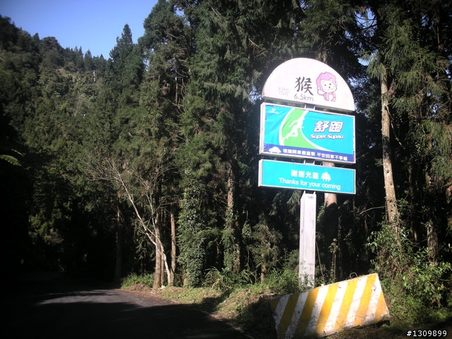 告別2010最後一場，絕色151竹溪杉自行車挑戰賽