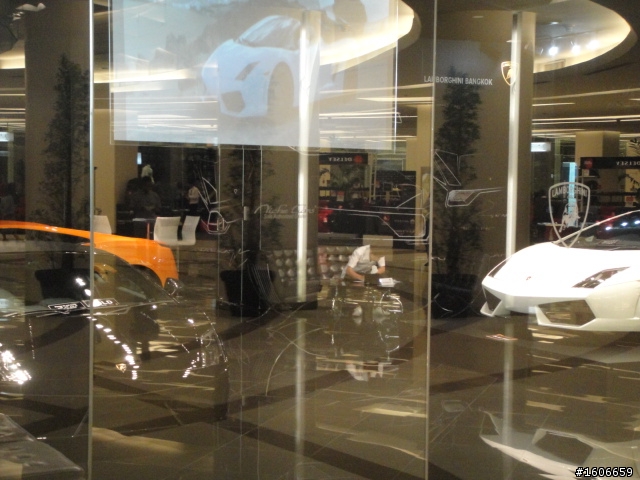 幾隻擠在百貨公司展示間的牛