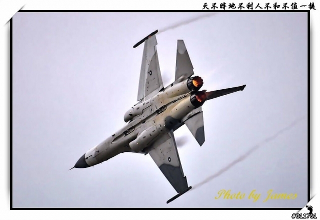 新竹打鳥趣(圖多礙眼請見諒)