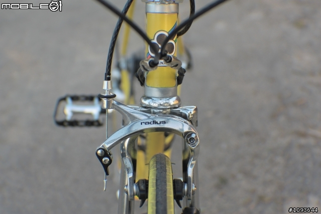 老鋼管翻新[我的假貨colnago，快樂騎乘中]    出沒地:往永安漁港沿途