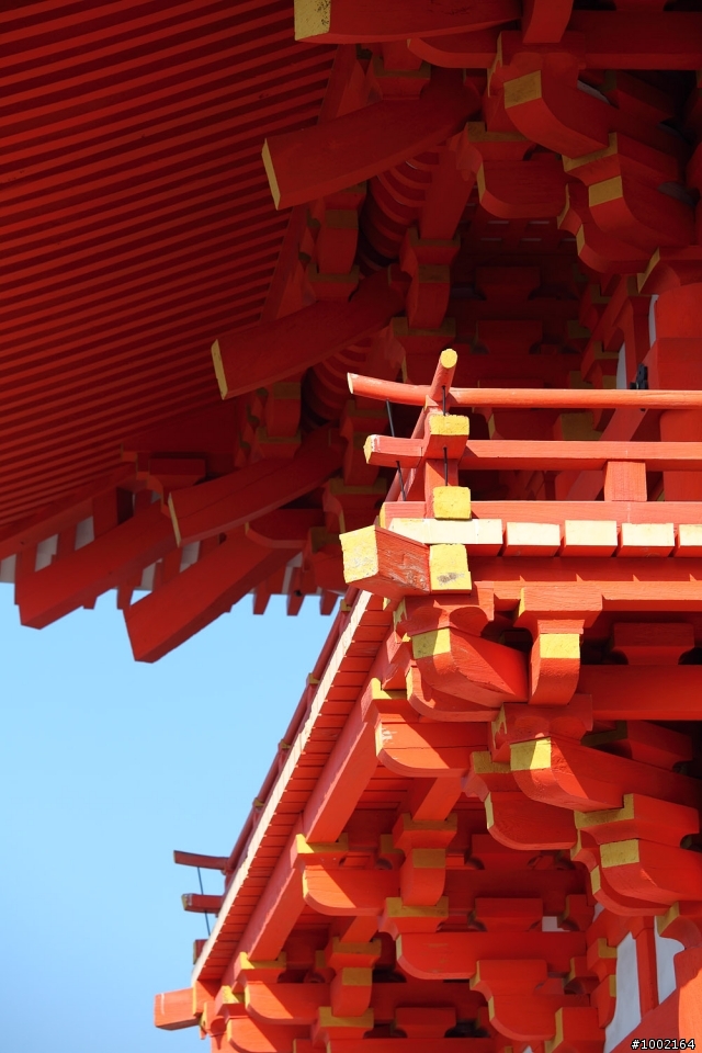 日本京都試鏡  福輪達 Color Skopar 20mm F3.5 SLII （圖多）